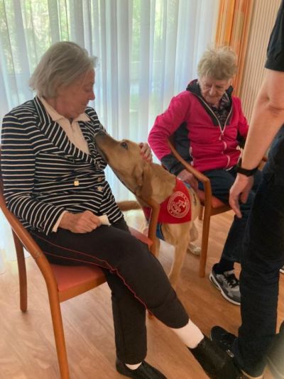 Besuch vom Therapiehund Anton – Bild 3